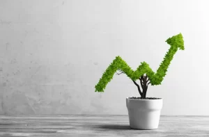 growth-focused accountant | Plant growing in the shape of an arrow graph going upwards.