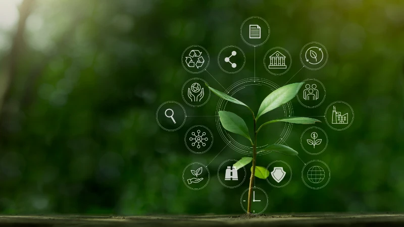 Small plant with business icons expresses how to grow a small business